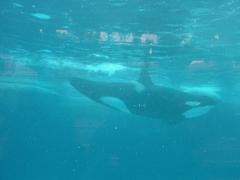 DSC00734.JPG