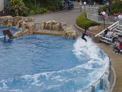 DSC00743.JPG