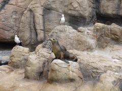 DSC00746.JPG