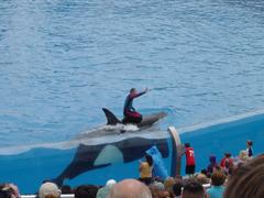 DSC00750.JPG