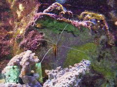 DSC00757.JPG