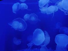 DSC00762.JPG