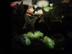 DSC00763.JPG