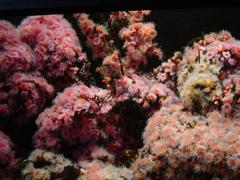 DSC00768.JPG