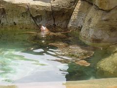 DSC00769.JPG