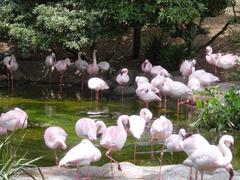 DSC00770.JPG