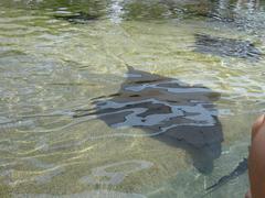 DSC00772.JPG