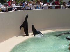 DSC00773.JPG
