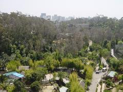 DSC00654.JPG