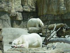 DSC00661.JPG