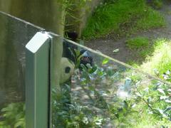 DSC00667.JPG