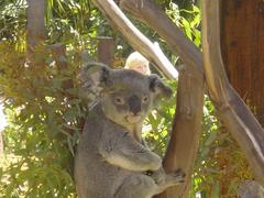 DSC00687.JPG