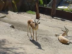 DSC00691.JPG