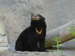 DSC00707.JPG