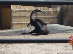 DSC00710.JPG