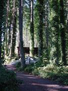 dsc01008.jpg