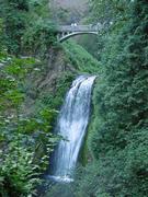 dsc01016.jpg