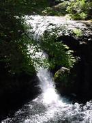 dsc01022.jpg