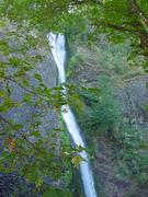 dsc01029.jpg