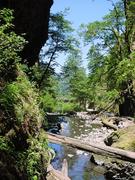 dsc01032.jpg