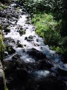 dsc01036.jpg