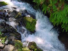 dsc01037.jpg