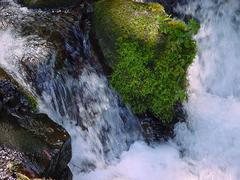 dsc01038.jpg