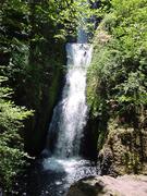 dsc01040.jpg