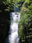 dsc01041.jpg