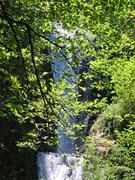 dsc01042.jpg