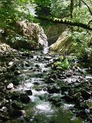 dsc01044.jpg