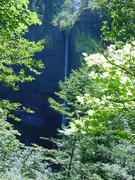 dsc01045.jpg
