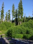 dsc01053.jpg