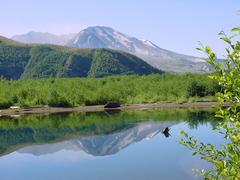dsc02005.jpg