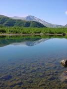 dsc02006.jpg
