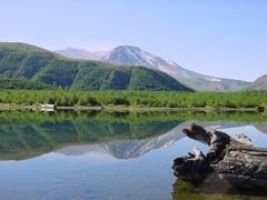 dsc02010.jpg