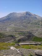 dsc02013.jpg
