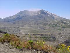 dsc02017.jpg