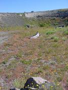 dsc02024.jpg