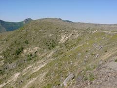 dsc02025.jpg