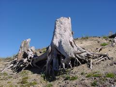 dsc02026.jpg