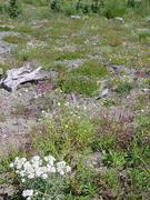 dsc02030.jpg