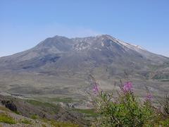 dsc02031.jpg