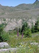 dsc02032.jpg