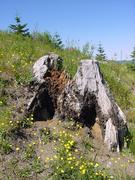 dsc02033.jpg