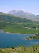 dsc02034.jpg