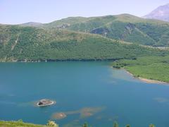 dsc02037.jpg