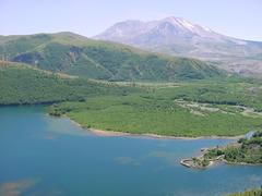 dsc02038.jpg