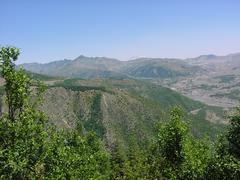 dsc02041.jpg