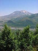 dsc02042.jpg